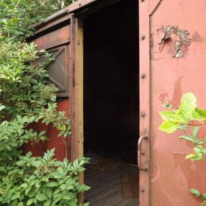 DSCF0683.JPG