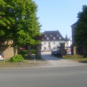 DSCI2588.JPG