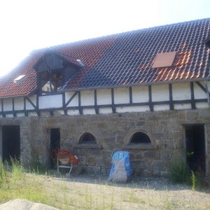 DSCI2567.JPG