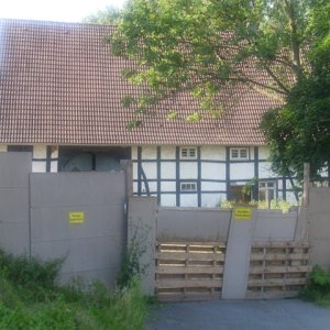 DSCI2564.JPG