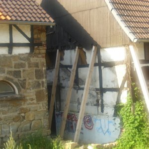 DSCI2571.JPG