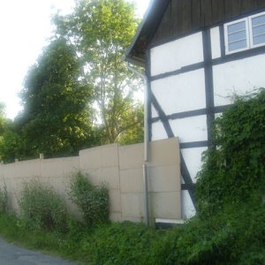 DSCI2575.JPG