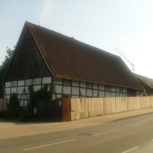 DSCI2576.JPG