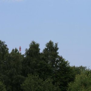 IMG_2224.JPG