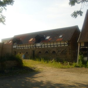 DSCI2557.JPG