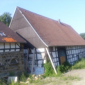 DSCI2569.JPG