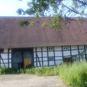 DSCI2559.JPG