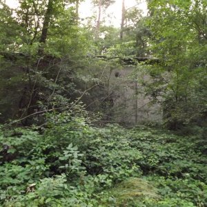 DSCF0736.JPG