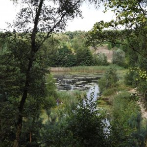 DSCF0750.JPG