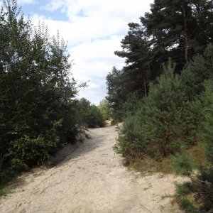 DSCF0751.JPG