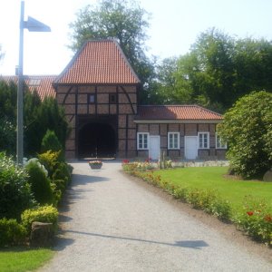 DSCI0080.JPG