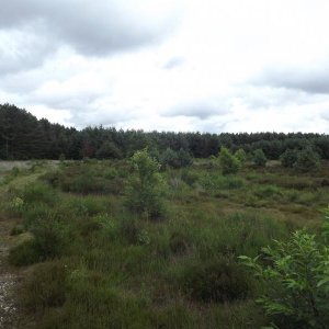 DSCF0375.JPG