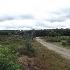 DSCF0376.JPG