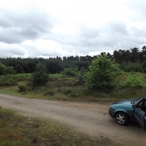DSCF0377.JPG