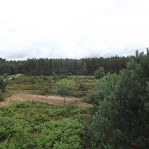DSCF0387.JPG