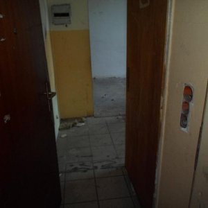 SAM_0654.JPG