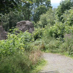 IMG_8659 (Individuell).JPG