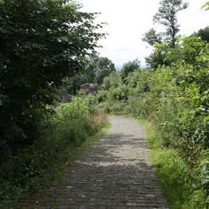 IMG_8658 (Individuell).JPG
