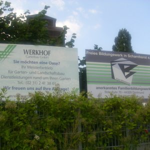DSCI0146.JPG