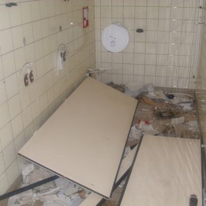 DSCI0106.JPG