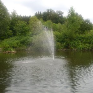 DSCI0194.JPG