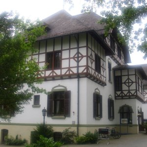 DSCI0206.JPG