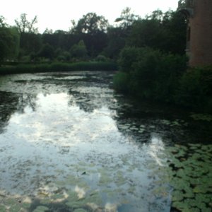 Teich2.JPG