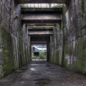 Bunker4.jpg
