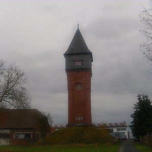 DSCI1130.JPG
