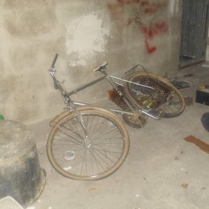 DSCI0907.JPG
