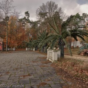 Zoopark--9.jpg