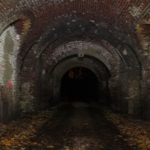 IMG_0036 (Custom).JPG