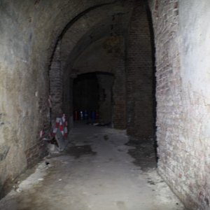 IMG_9930 (Custom).JPG