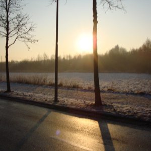 Sonnenimpressionen23.12.2009 - 14.jpg