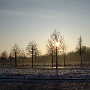 Sonnenimpressionen23.12.2009 - 31.jpg