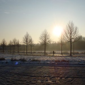 Sonnenimpressionen23.12.2009 - 59.jpg