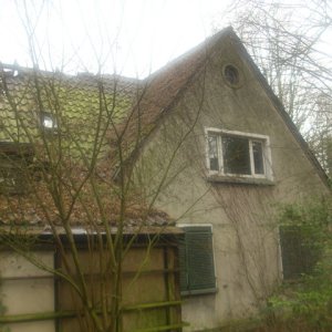 DSCI1641.JPG