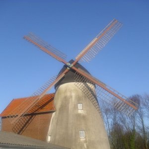 DSCI2093.JPG