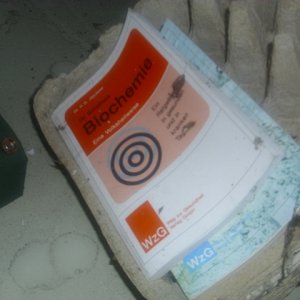 DSCI1767.JPG