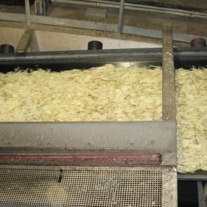 Südzucker_Offenau (76).JPG