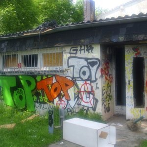 DSCI0482.JPG