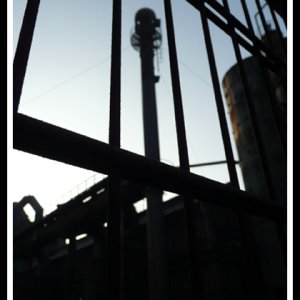 DIPN-04.jpg