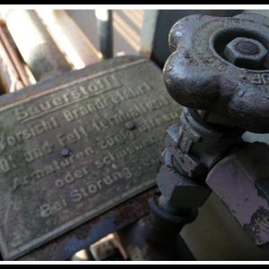 DIPN-05.jpg