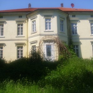 DSCI0551.JPG
