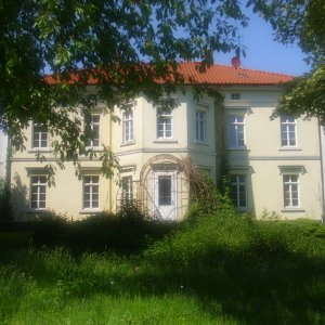 DSCI0553.JPG