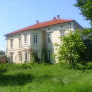DSCI0570.JPG