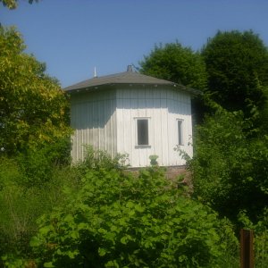DSCI0536.JPG