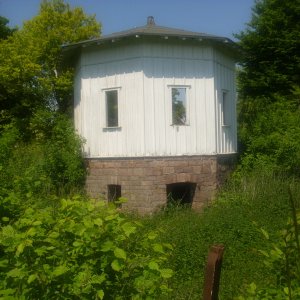 DSCI0539.JPG