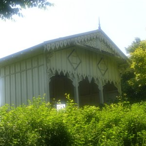 DSCI0555.JPG