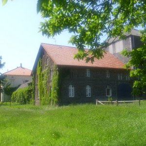 DSCI0564.JPG